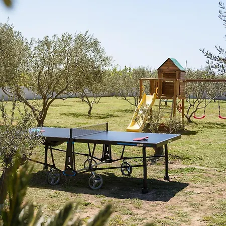 Villa Scallop Zadarvillas *